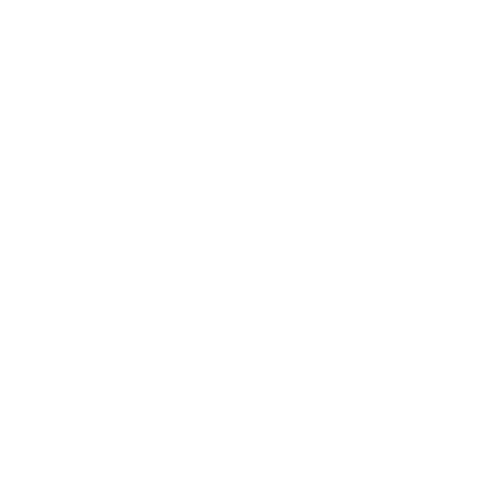 Prodigy Disc