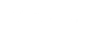 Prodigy Disc