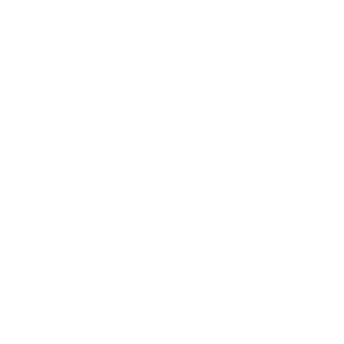 Torch Discs