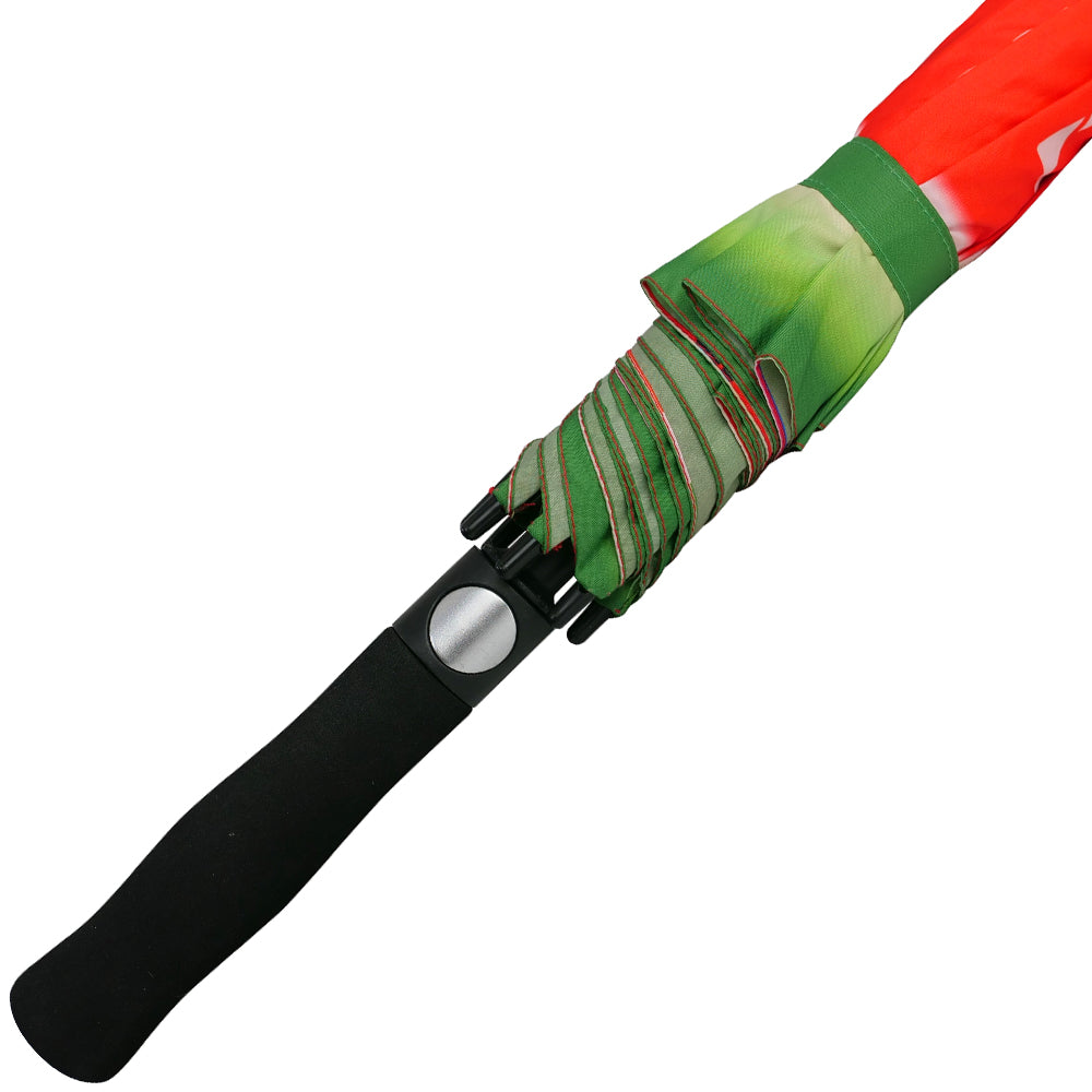 Axiom Umbrella
