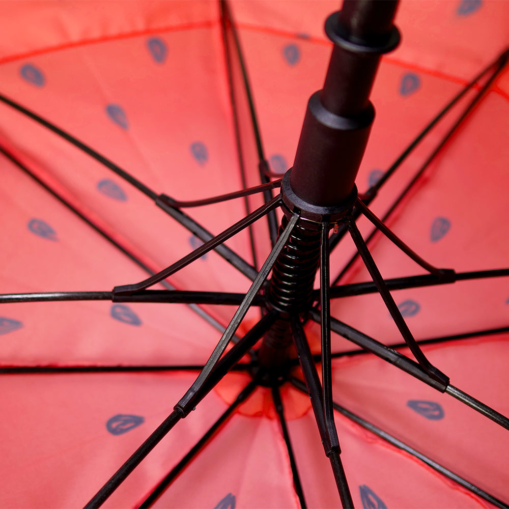 Axiom Umbrella