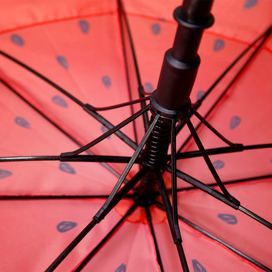 Axiom Umbrella
