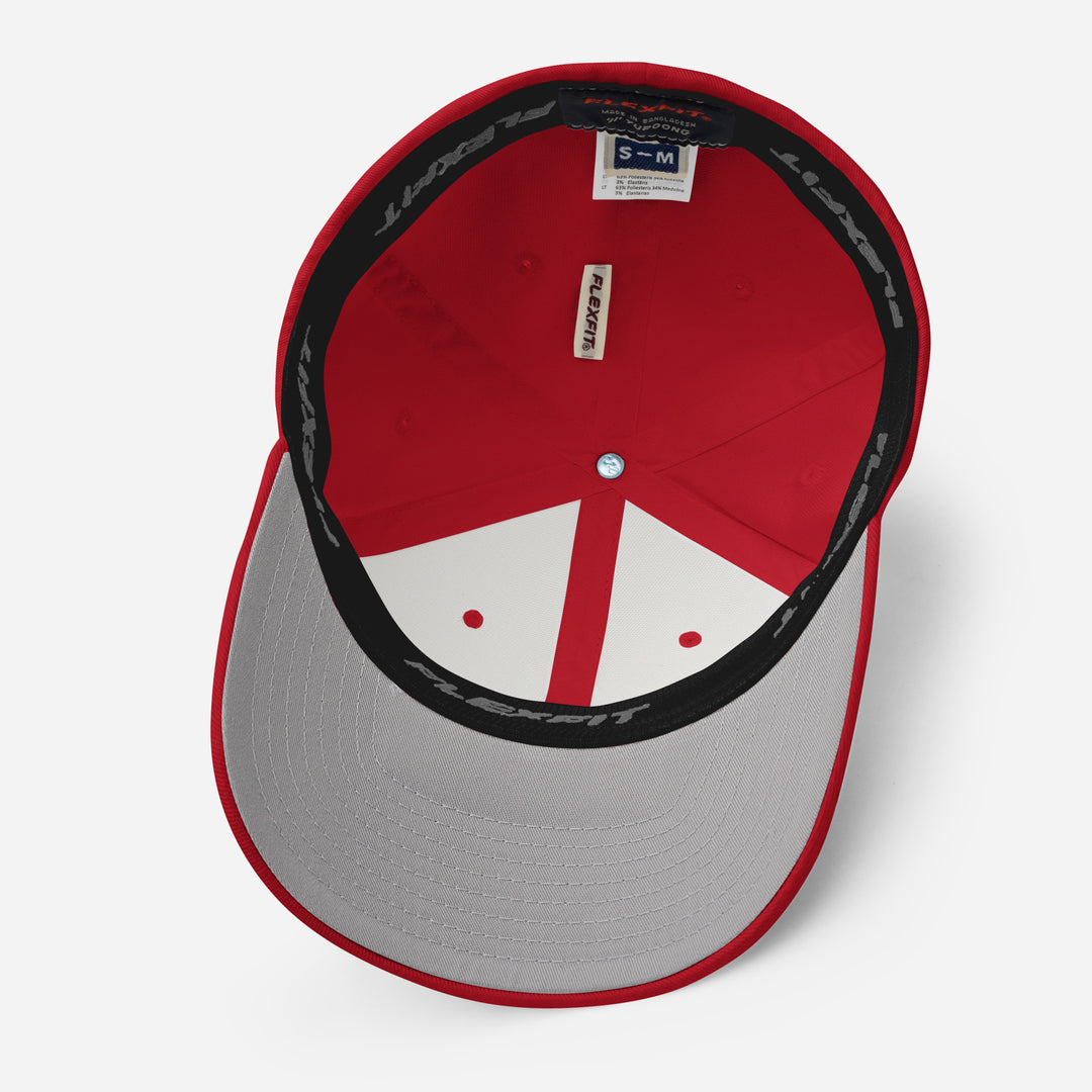 Yokai Disc Flexfit Hat